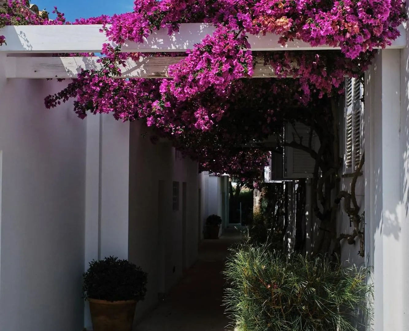 Prinsotel Mal Pas Alcúdia 4*,